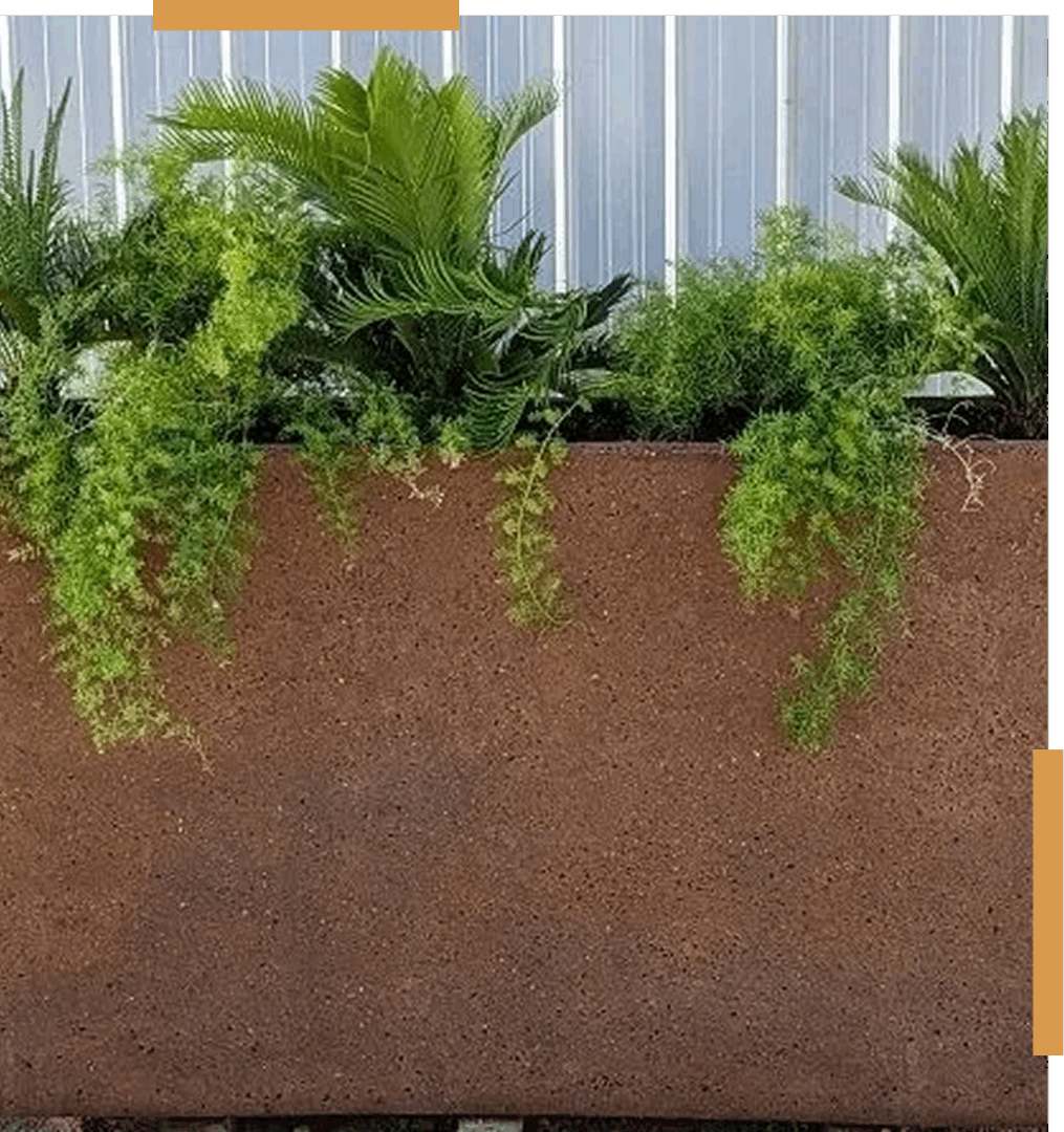Brown planter with lush green foliage.